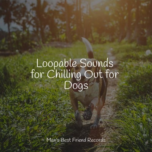 Dog Music - Loopable Sounds for Chilling Out for Dogs - 2022