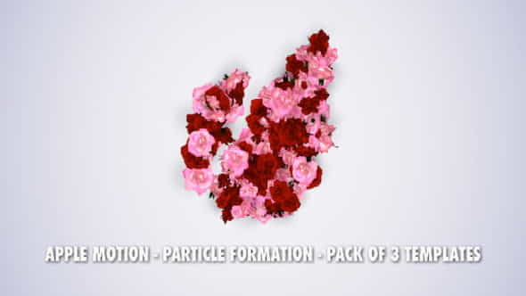 Particle LogoTitle Formation - VideoHive 3776367