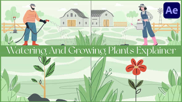 Watering And Growing Plants Explainer For After Effects - VideoHive 52661621