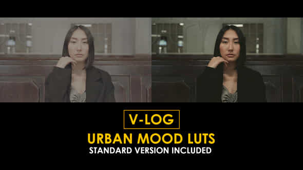 Vlog Urban Mood And Standard Luts - VideoHive 51434233