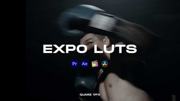 Expo LUTs Color - VideoHive 39644666