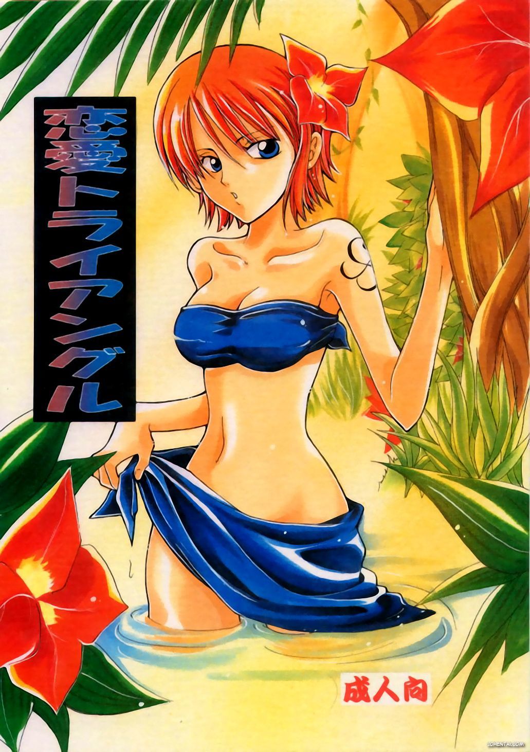 Renai Triangle (One Piece)