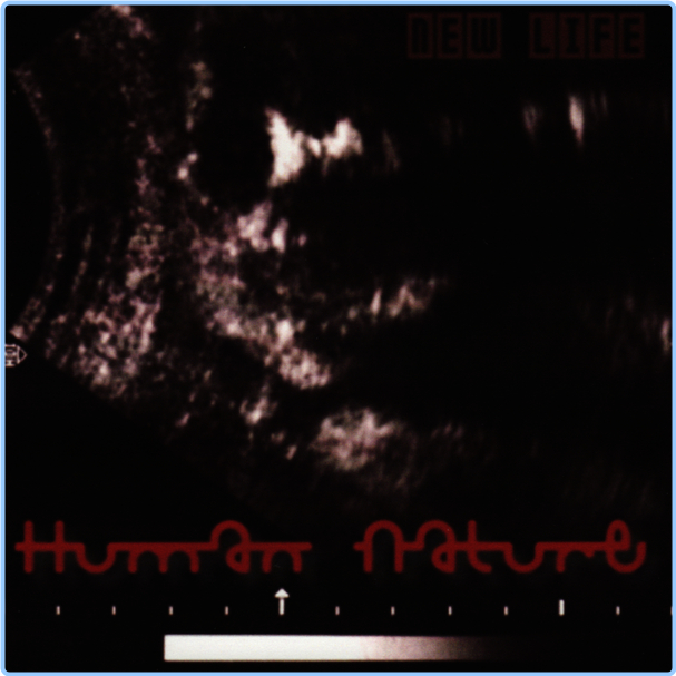 HUMAN NATURE EICHBAUM COLLECTION (2024) WEB [FLAC] 16BITS 44 1KHZ VDz9m1hL_o