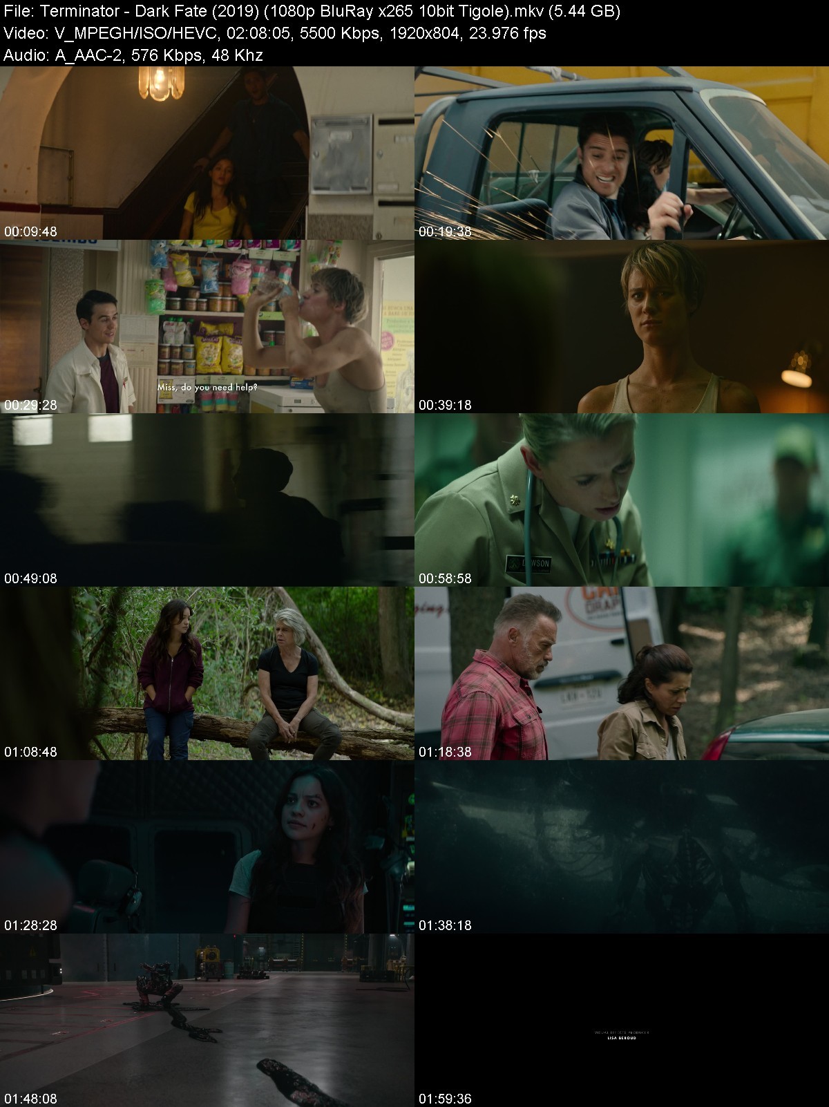 Terminator Dark Fate (2019) 1080p BluRay x265 HEVC 10bit AAC 7.1 - Tigole