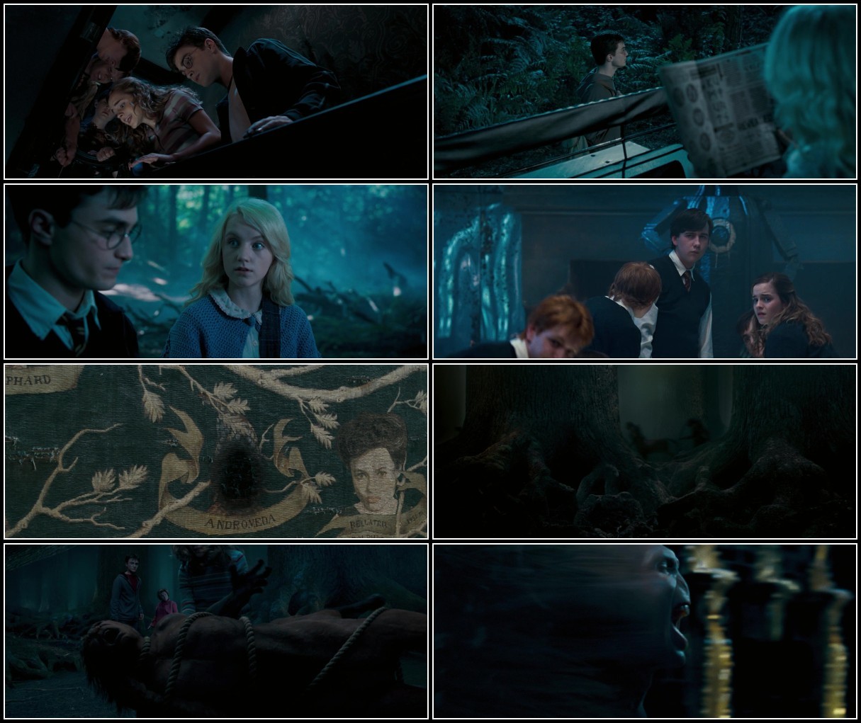 Harry Potter and The Order of The Phoenix (2007) 1080p BluRay x264 AC3 Soup TfLT4mfr_o