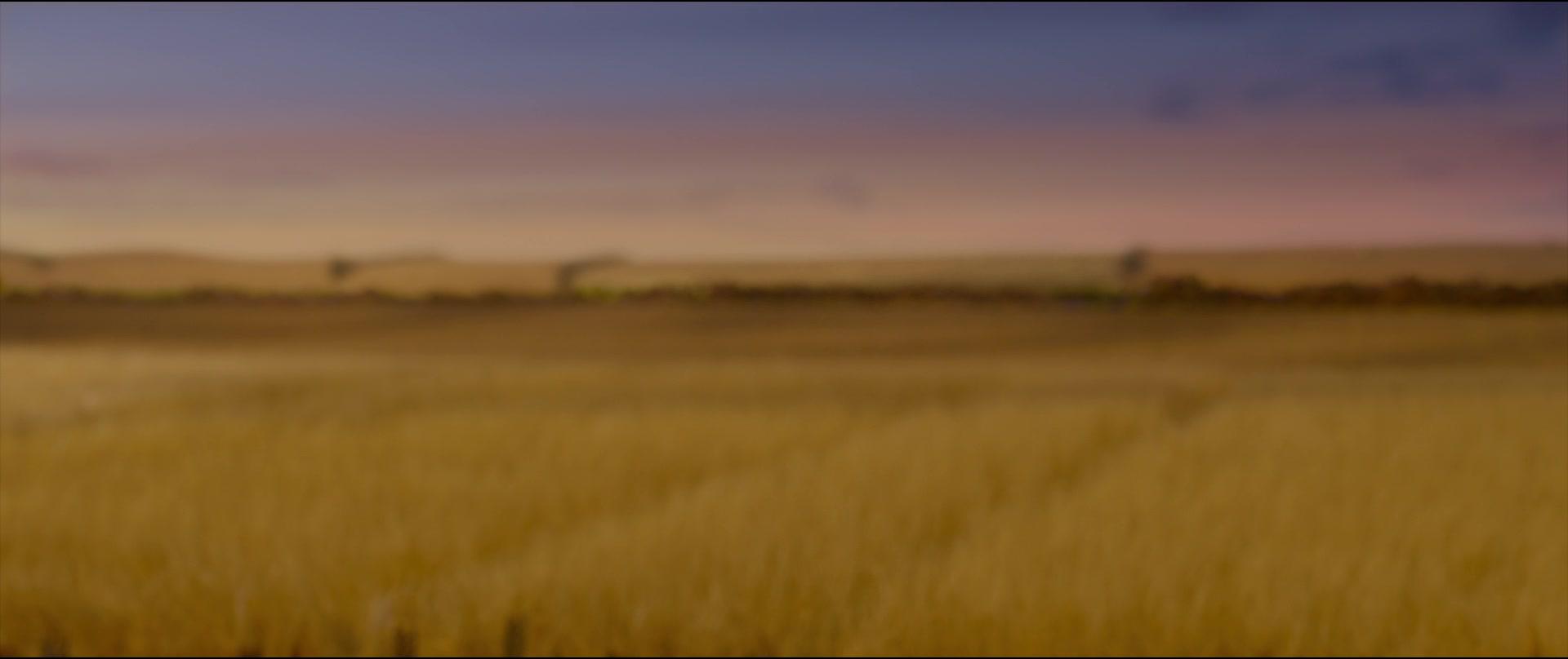 A Shaun the Sheep Movie Farmageddon 2019 1080p BluRay X264-AMIABLE A Shaun the Sheep Movie Farmageddon 2019 1080p BluRay X264-AMIABLE