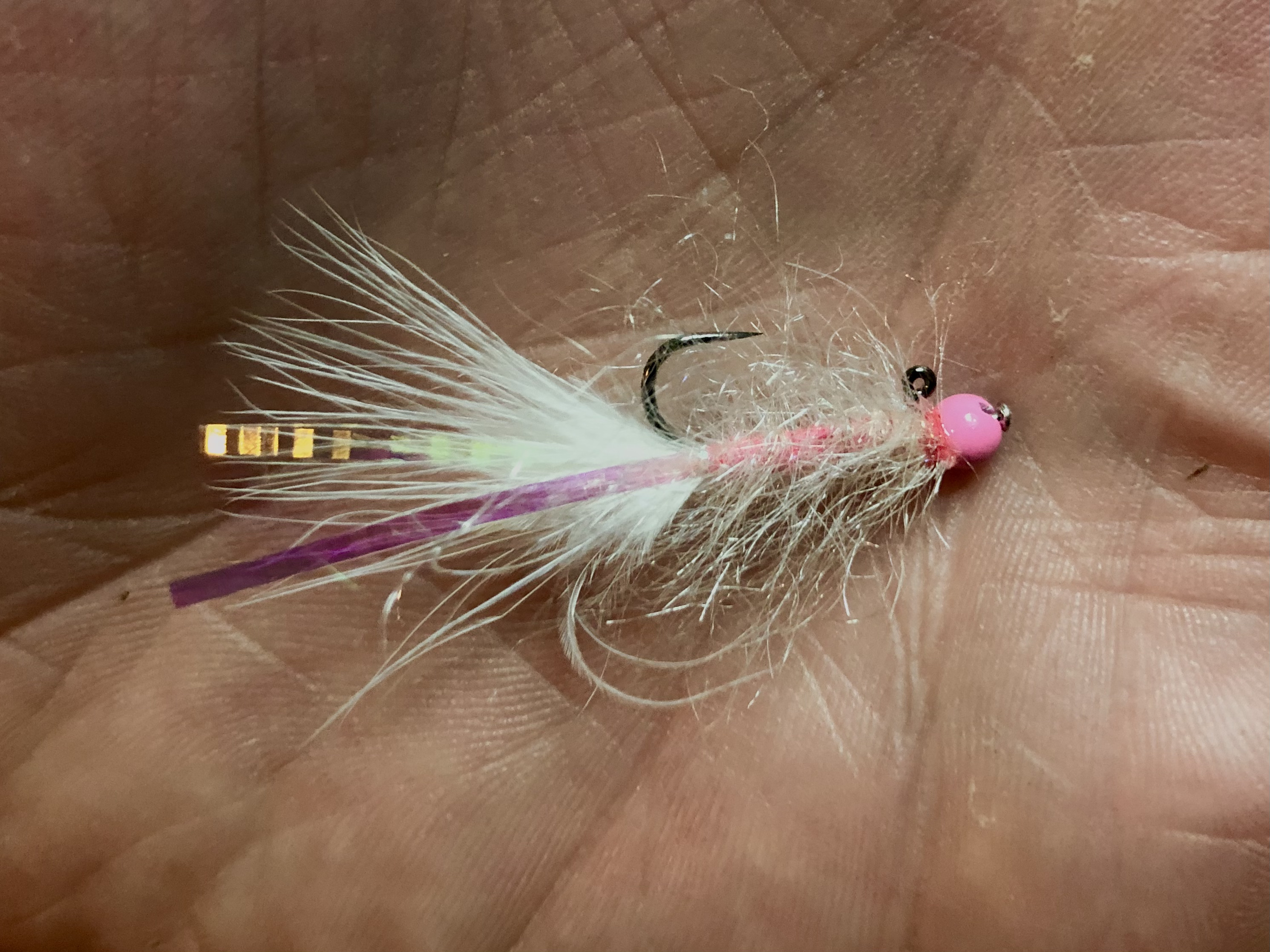 Soft Plastic Stonefly Pink Color Plus 1 Micro Jig -  Canada