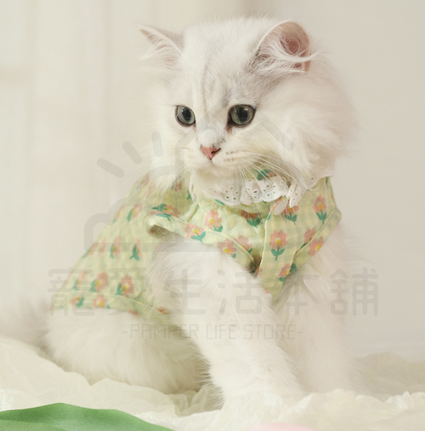 9vcxzvwl o