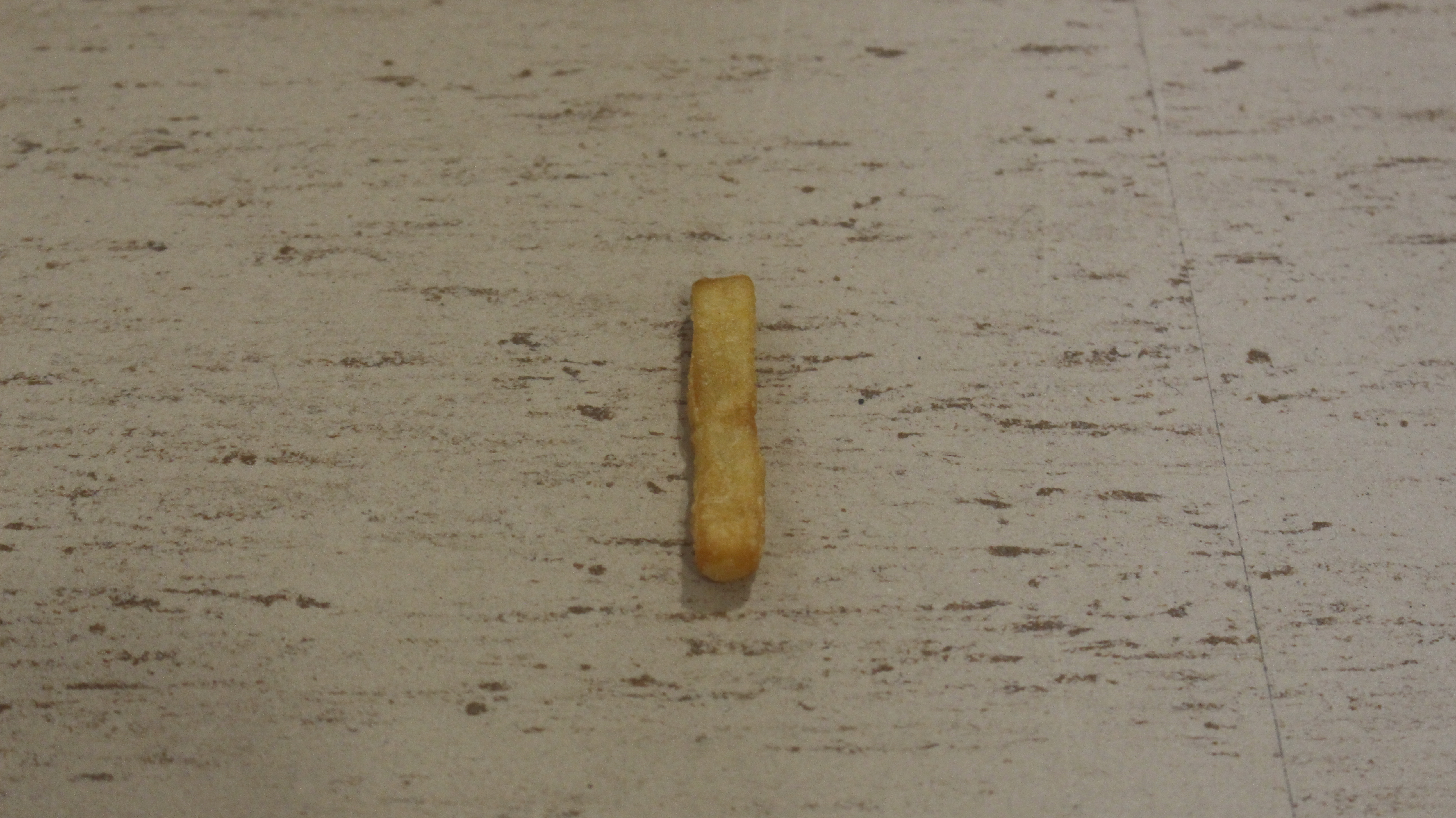 a fry on the floor