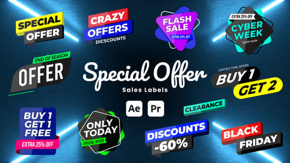 Special Offer Sale Labels - VideoHive 51169430