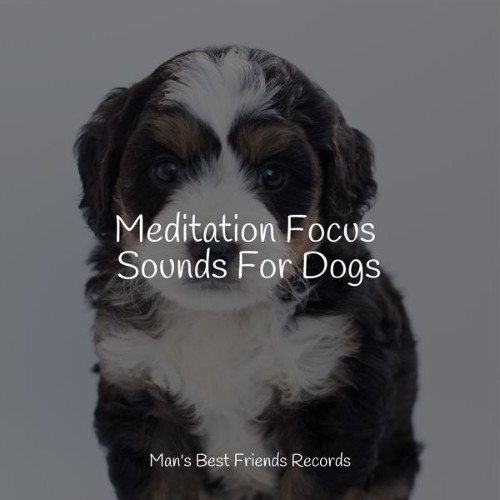 Music for Dog's Ears - Meditation Focus Sounds For Dogs - 2022