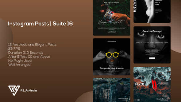 Instagram Posts - VideoHive 34613324