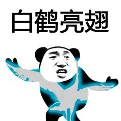 白鹤亮翅 - 武功秘籍表情包，出招吧_武功_切磋_功夫_装逼_斗图表情