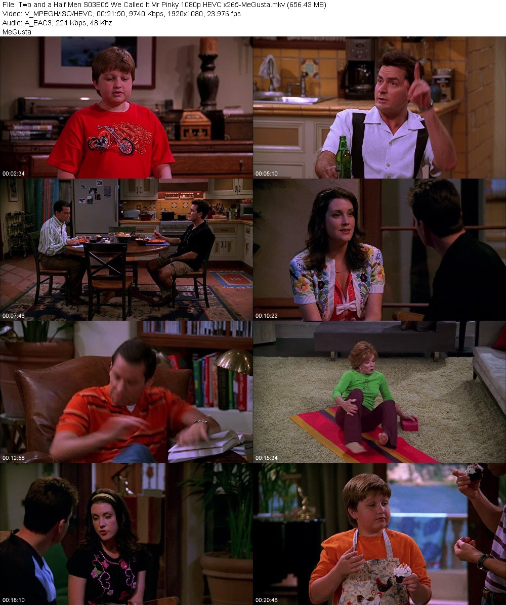 Two and a Half Men S03E05 We Called It Mr Pinky 1080p HEVC x265-MeGusta