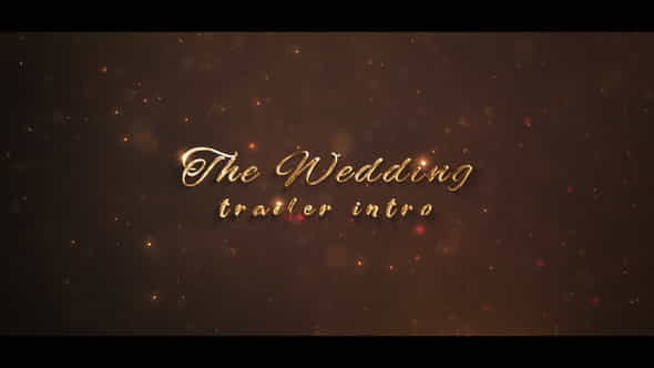 Wedding Intro - VideoHive 24069708