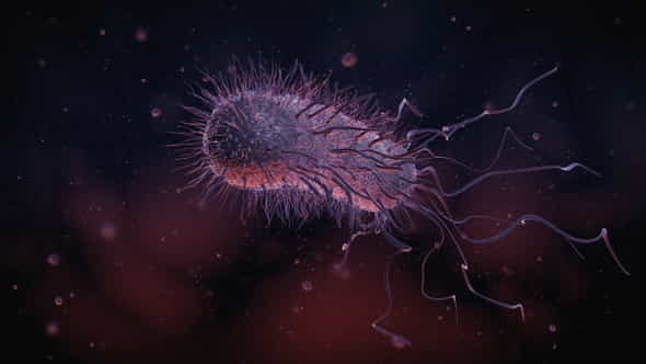 Bacteria - VideoHive 22848931