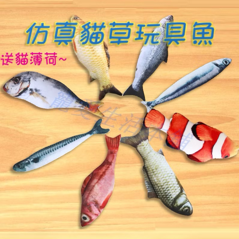 Zjmvmkqf o