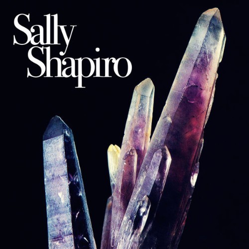 Sally Shapiro - Forget About You - 2021