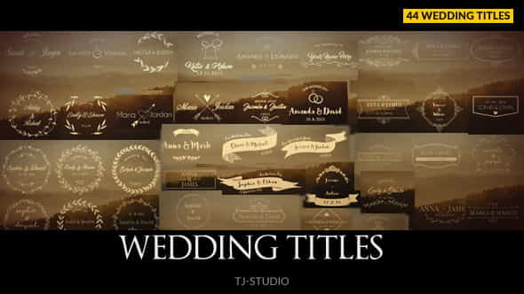 Wedding Titles - VideoHive 17622074