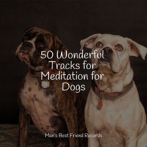 Music for Pets Library - 50 Wonderful Tracks for Meditation for Dogs - 2022