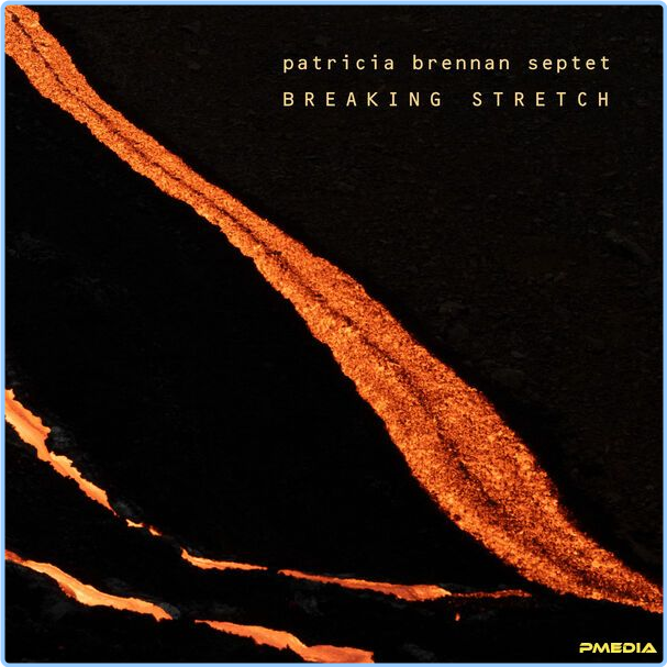 Patricia Brennan Breaking Stretch (2024) 24Bit 96kHz [FLAC] JX9zwZRE_o