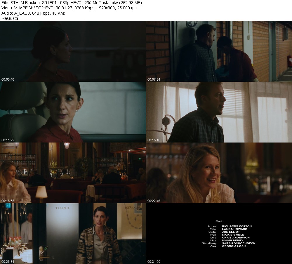 STHLM Blackout S01E01 1080p HEVC x265-MeGusta