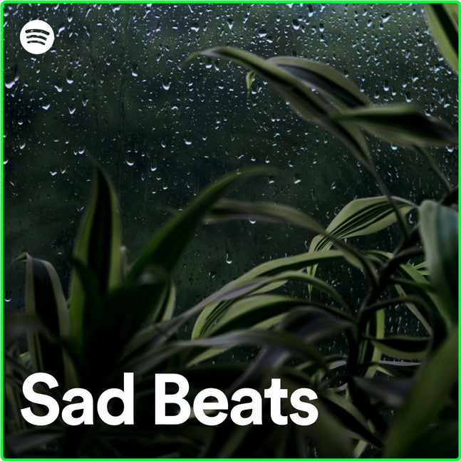 Various Artists - Sad Beats (2024) [320 Kbps] W6FyWDbj_o