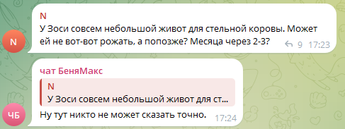 E9wVHqtR_o.png