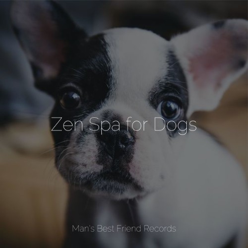 Jazz Music for Dogs - Zen Spa for Dogs - 2022