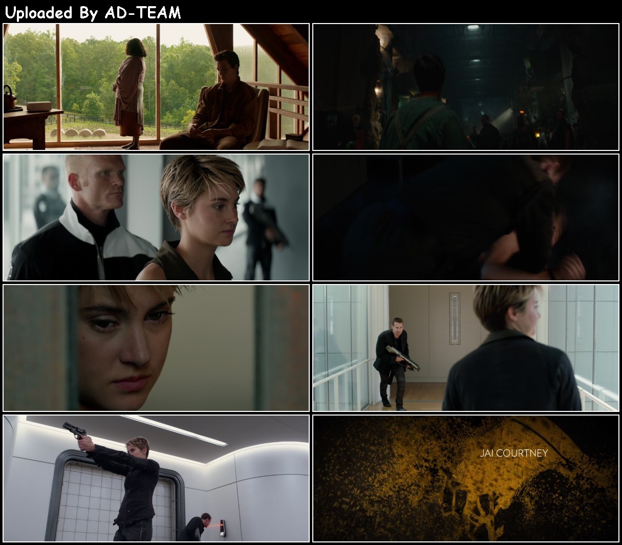 Insurgent (2015) 1080p BluRay x265-RARBG ZSo52g3c_o