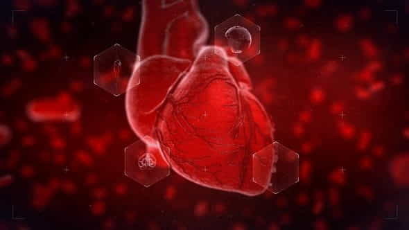 Heart Reveal - VideoHive 23356323