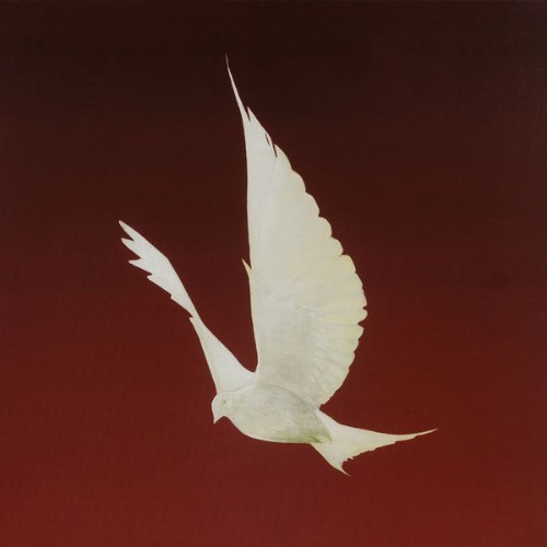 Floor - Dove - 2010