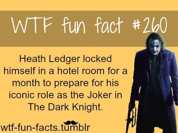 TUMBLR * WHAT - THE - FUN- FACTS * BCAZgKMs_o