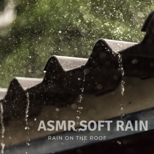 ASMR Soft Rain - Rain on the Roof - 2022