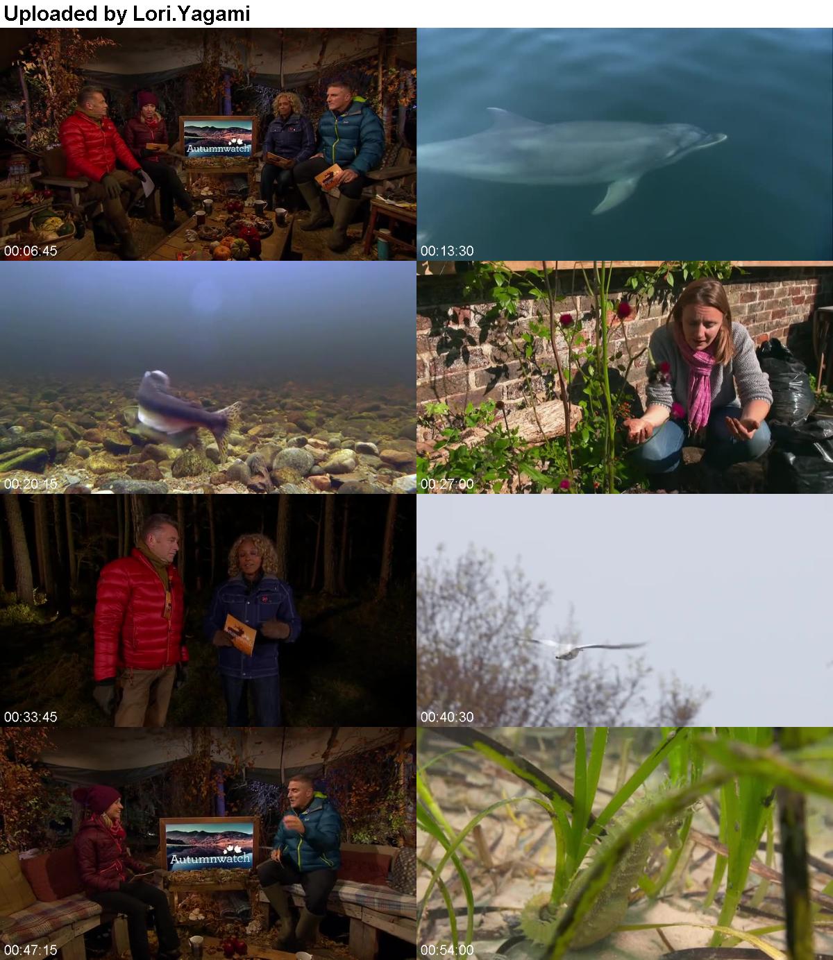 Autumnwatch S14E02 HDTV x264-LiNKLE