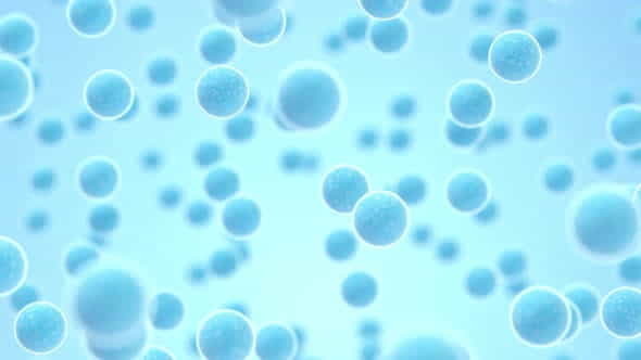 Large groups of streptococcus with - VideoHive 33507153