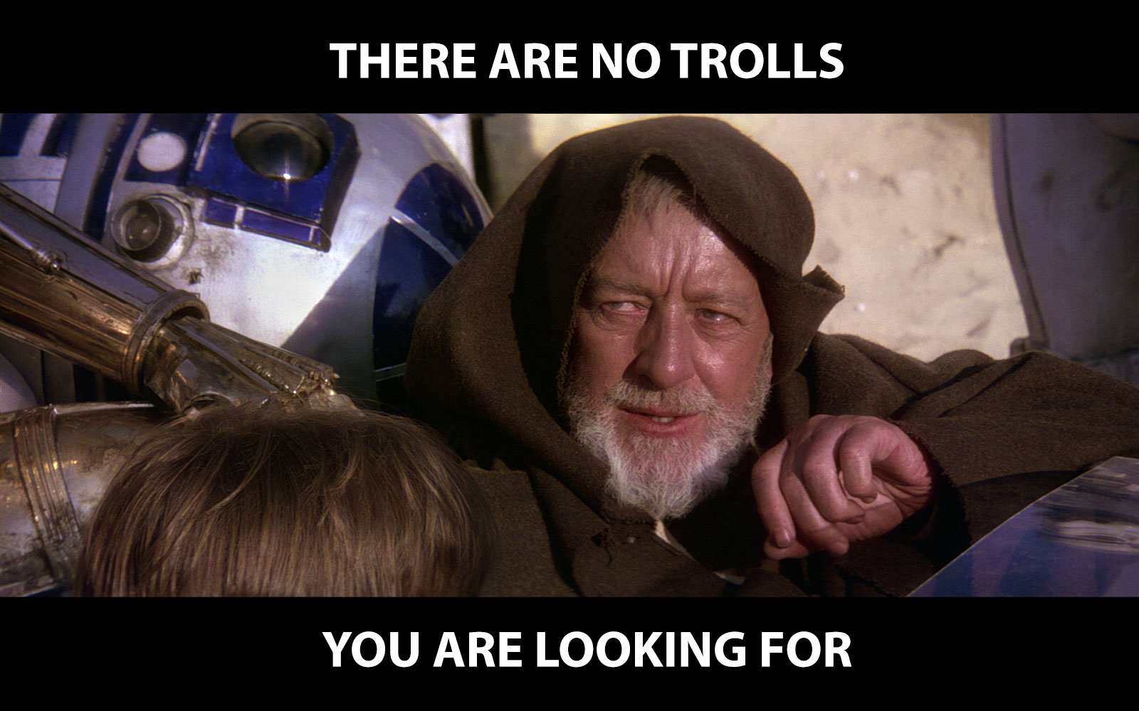 There are no trolls you are looking for