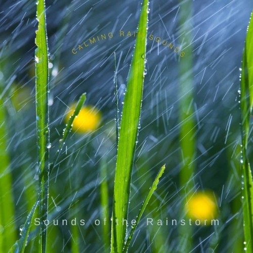 Sounds of the Rainstorm - Calming Rain Sounds - 2022