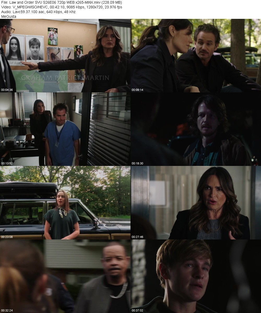 Law and Order SVU S26E06 720p WEB x265-MiNX