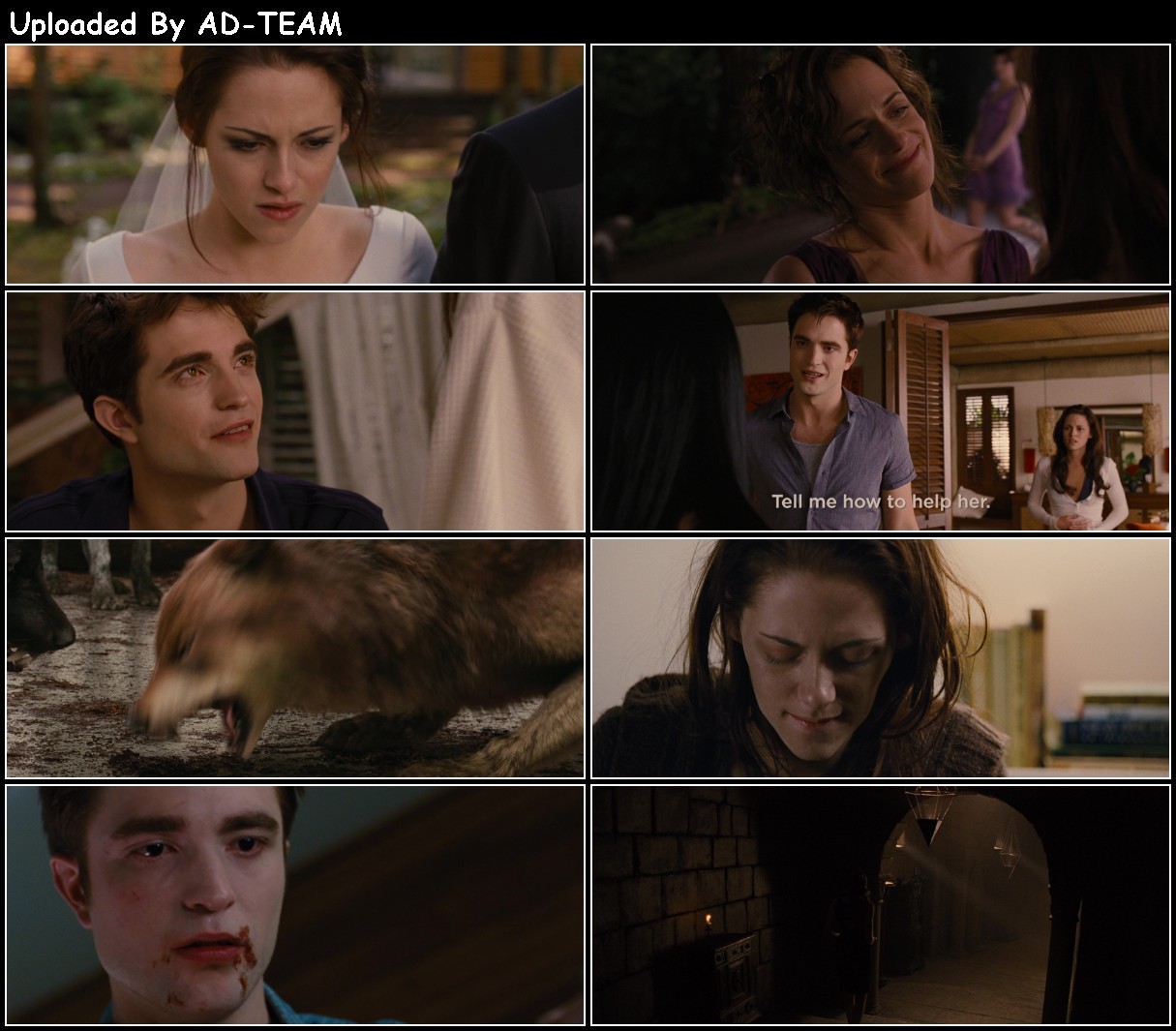 The Twilight Saga Breaking Dawn Part 1 2011 1080p AMZN WEB-DL DDP 5 1 H 264-PiRaTeS INa120TN_o