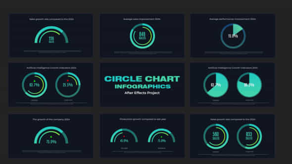 Infographics Circle Chart - VideoHive 50240784