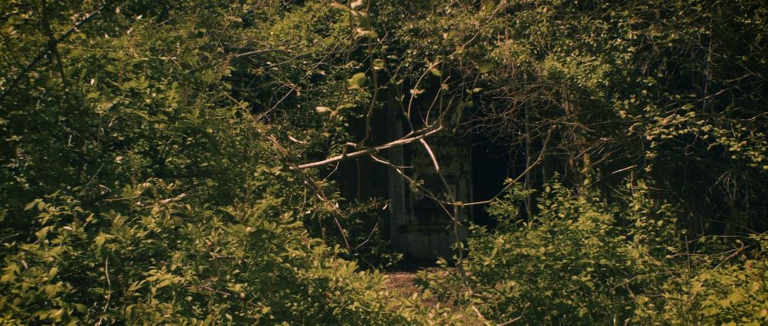 The Mothman Legacy 2020 1080p AMZN WEBRip DDP2 0 x264-BobDobbs The Mothman Legacy 2020 1080p AMZN WEBRip DDP2 0 x264-BobDobbs