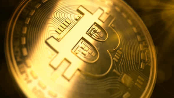 Bitcoin Logo Pack - VideoHive 21359981