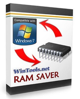 RAM Saver Professional 24.1 Multilingual TLQBFidu_o