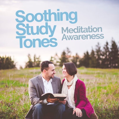 Meditation Awareness - Soothing Study Tones - 2019