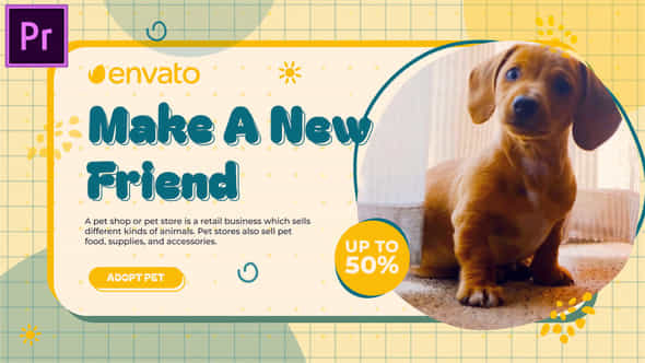Adopt Pet Pet - VideoHive 47659093