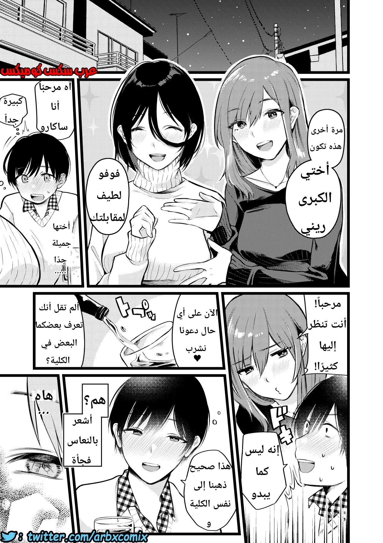 1133 قرية الفيمدوم