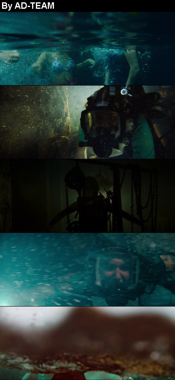 47 Meters Down Uncaged 2019 1080p BluRay x264-GECKOS 47 Meters Down Uncaged 2019 1080p BluRay x264-GECKOS