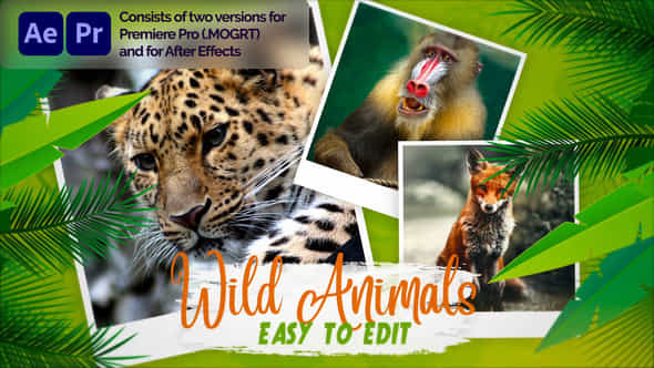 Animals World Slideshow - VideoHive 31140182