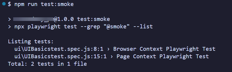 Output of corrected npm run command showing tests found